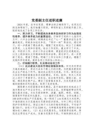 党委副主任述职述廉