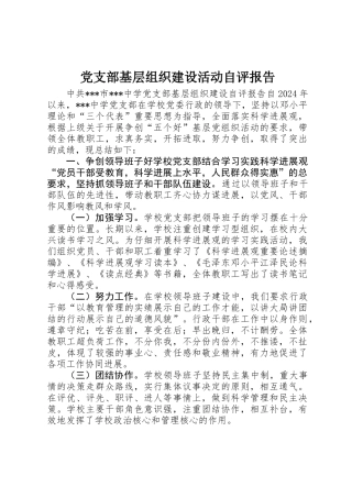 党支部基层组织建设活动自评报告