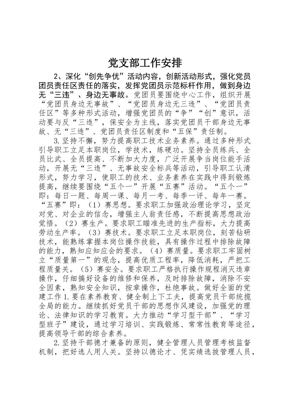 党支部工作安排_第1页