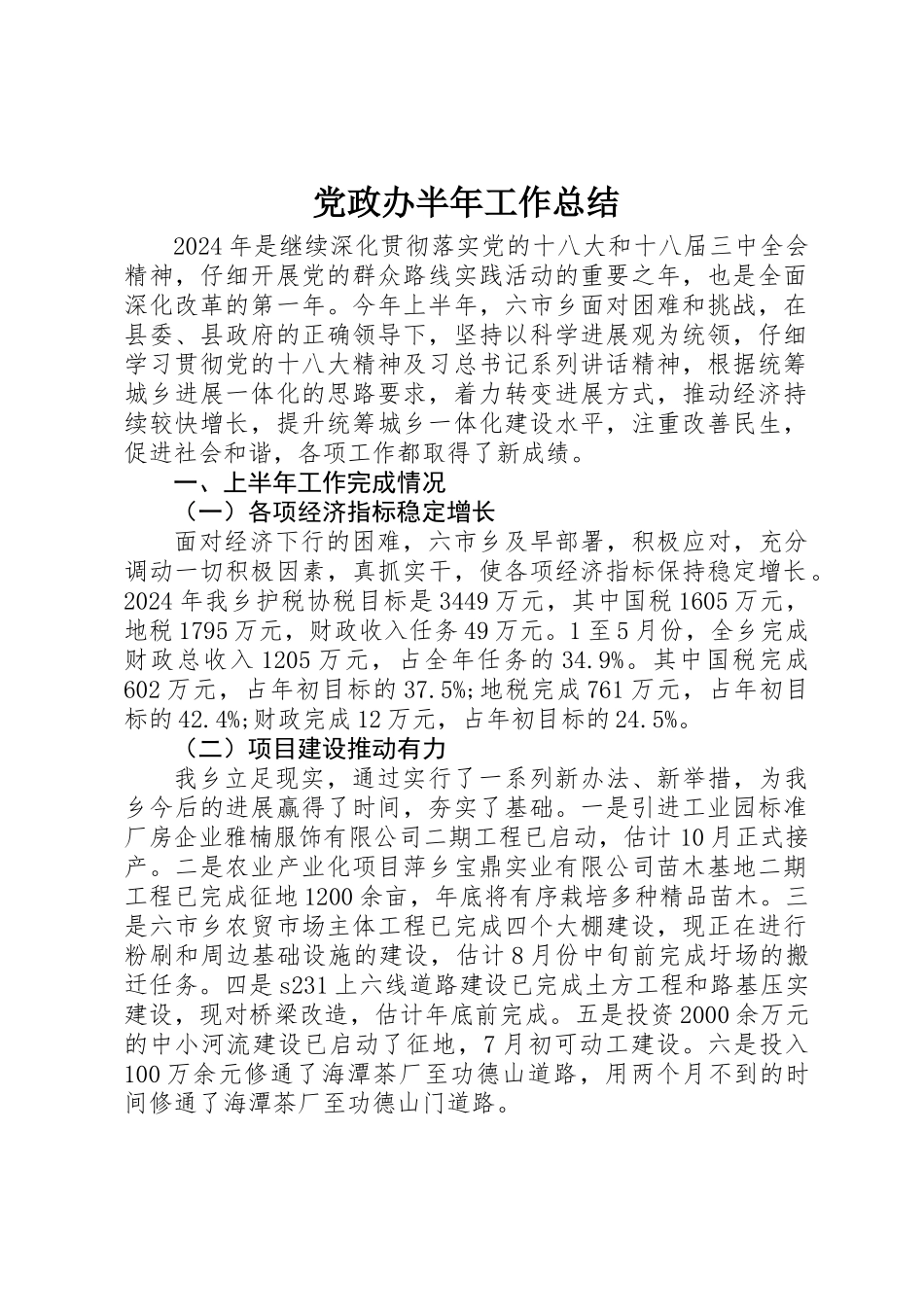 党政办半年工作总结_第1页