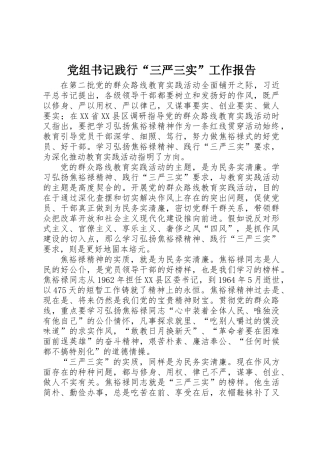 党组书记践行“三严三实”工作报告