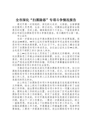 全市深化“扫黑除恶”专项斗争情况报告
