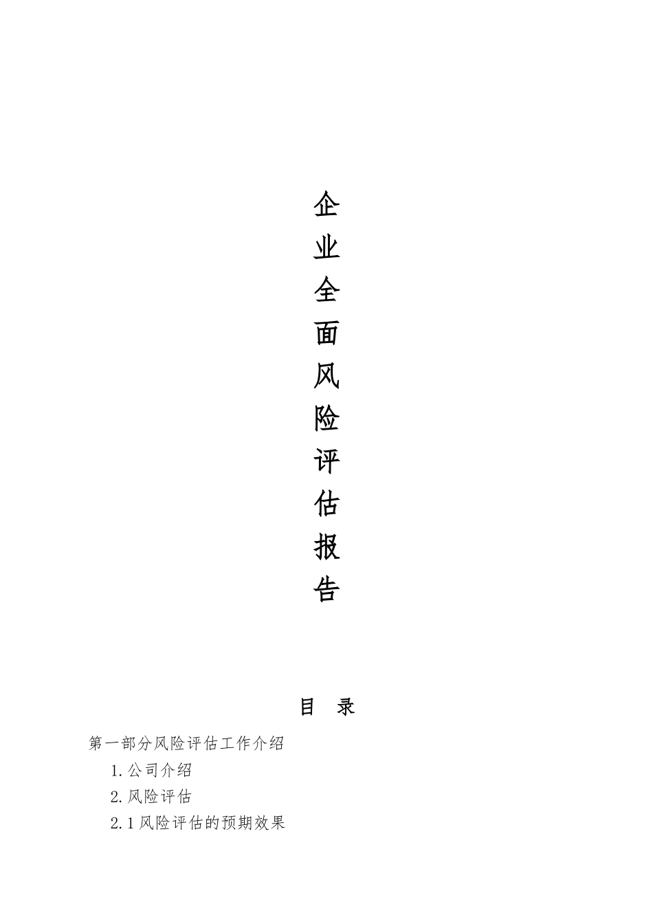 全面风险评估与内控报告模板_第1页