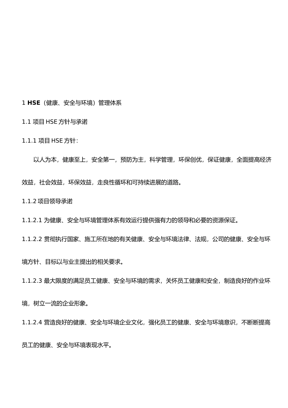 公司企业HSE管理体系与制度_第2页
