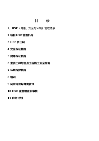 公司企业HSE管理体系与制度