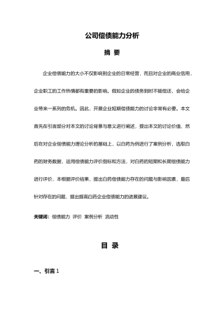 公司偿债能力分析报告模版