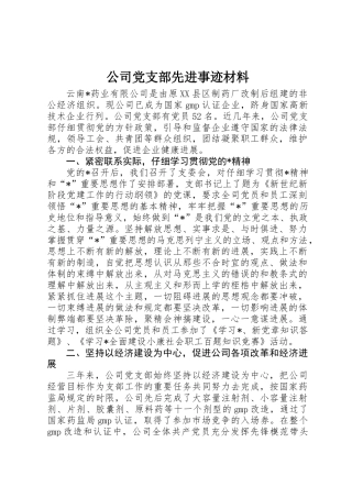 公司党支部先进事迹材料