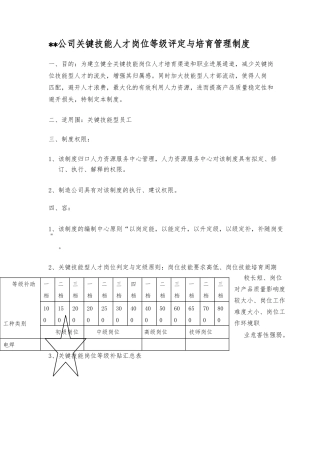 公司关键技能人才岗位等级评定与培养管理制度