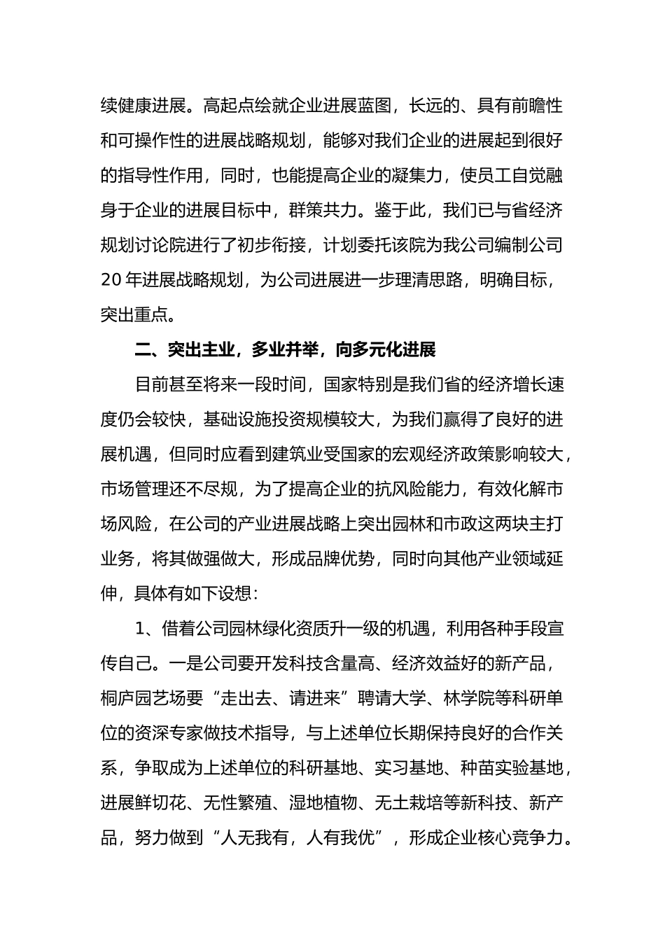 公司发展战略规划_第2页