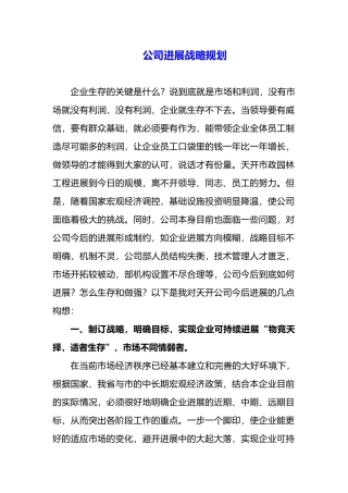 公司发展战略规划
