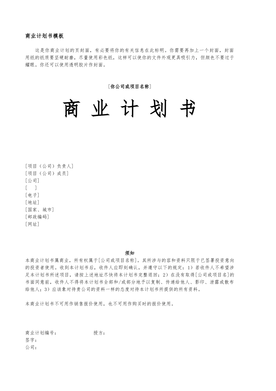 公司商业实施计划书模板_第1页