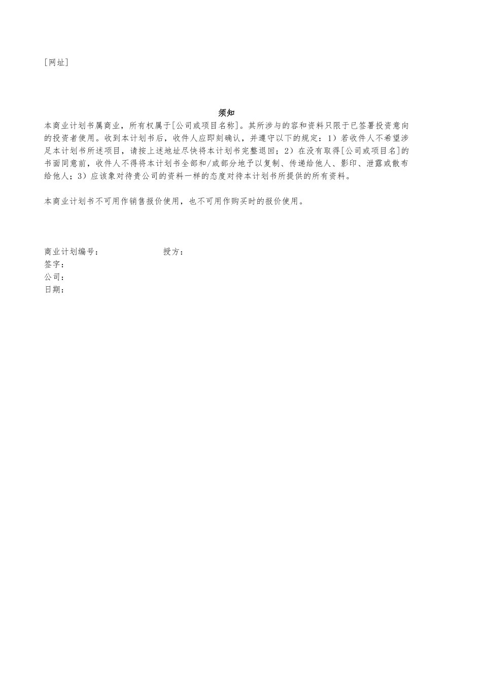 公司商业实施计划模板_第2页
