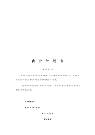 公司商业实施计划书标准格式