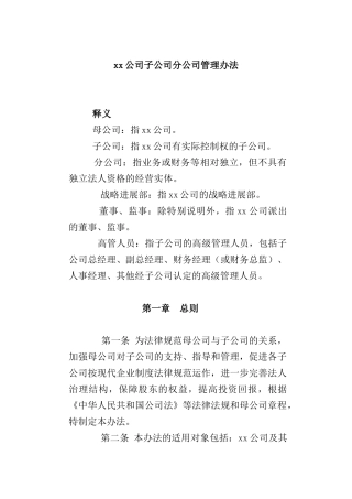 公司子公司分公司管理办法