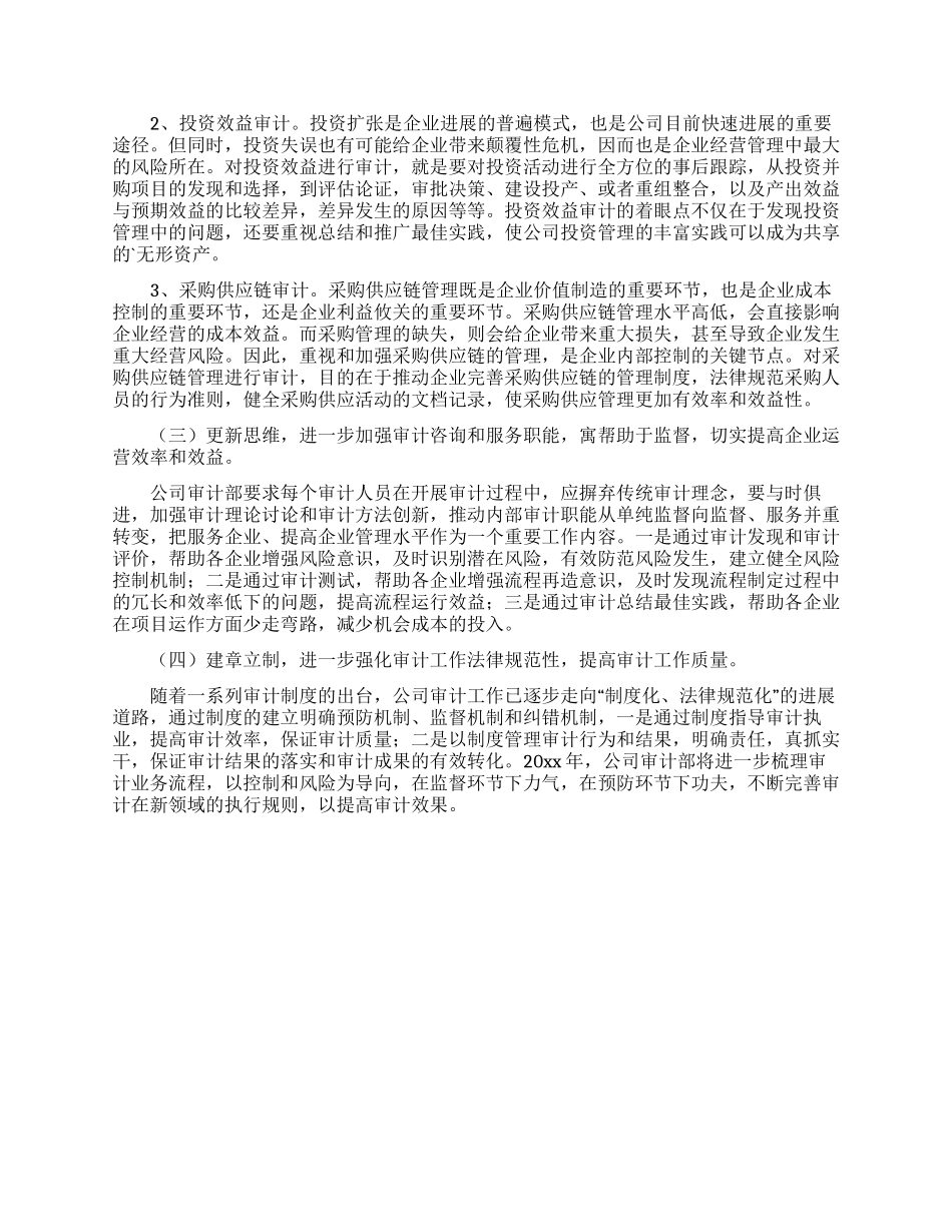 公司审计师工作计划_第2页