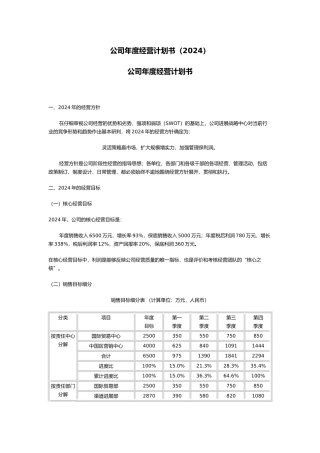 公司年度经营实施计划书