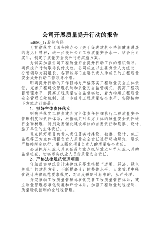 公司开展质量提升行动的报告