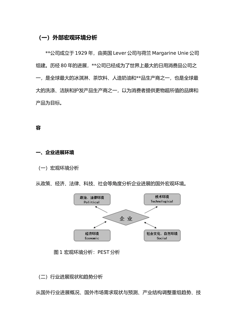 公司战略规划模板_第3页