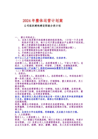 公司整体运营计划与公司组织架构职责分类分析报告文案