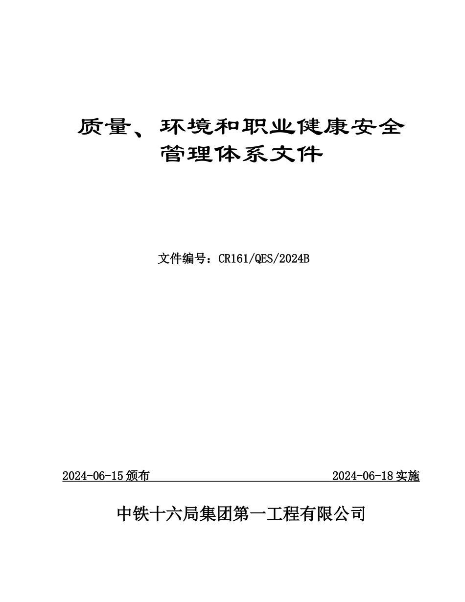 公司管理体系文件_第1页