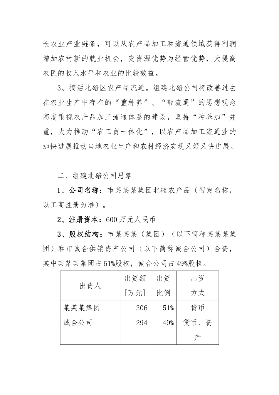 公司组建方案范本_第2页