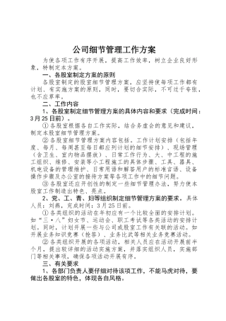 公司细节管理工作方案