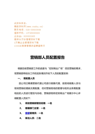公司营销部人员配置报告