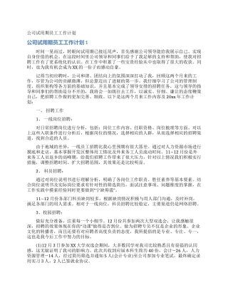 公司试用期员工工作计划