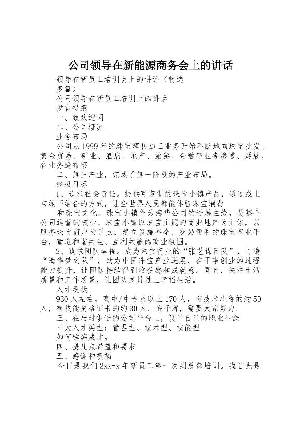 公司领导在新能源商务会上的讲话_第1页