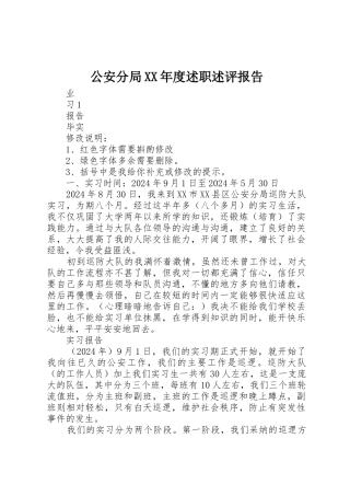 公安分局XX年度述职述评报告