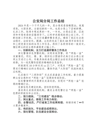 公安局分局工作总结