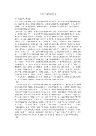 关于少代会的心得体会