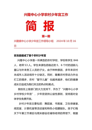 兴隆中心小学我国农村少年宫工作简报