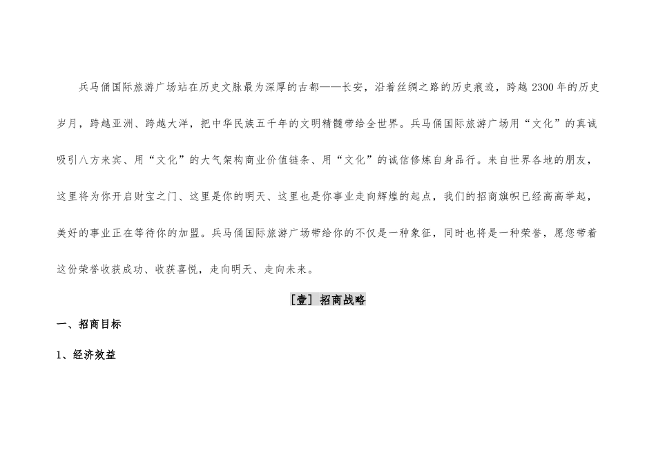 兵马俑国际旅游广场招商执行策略文本_第3页