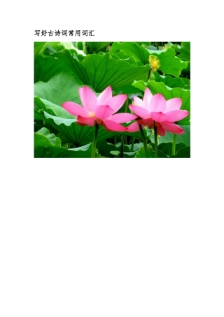 写好古诗词常用词汇