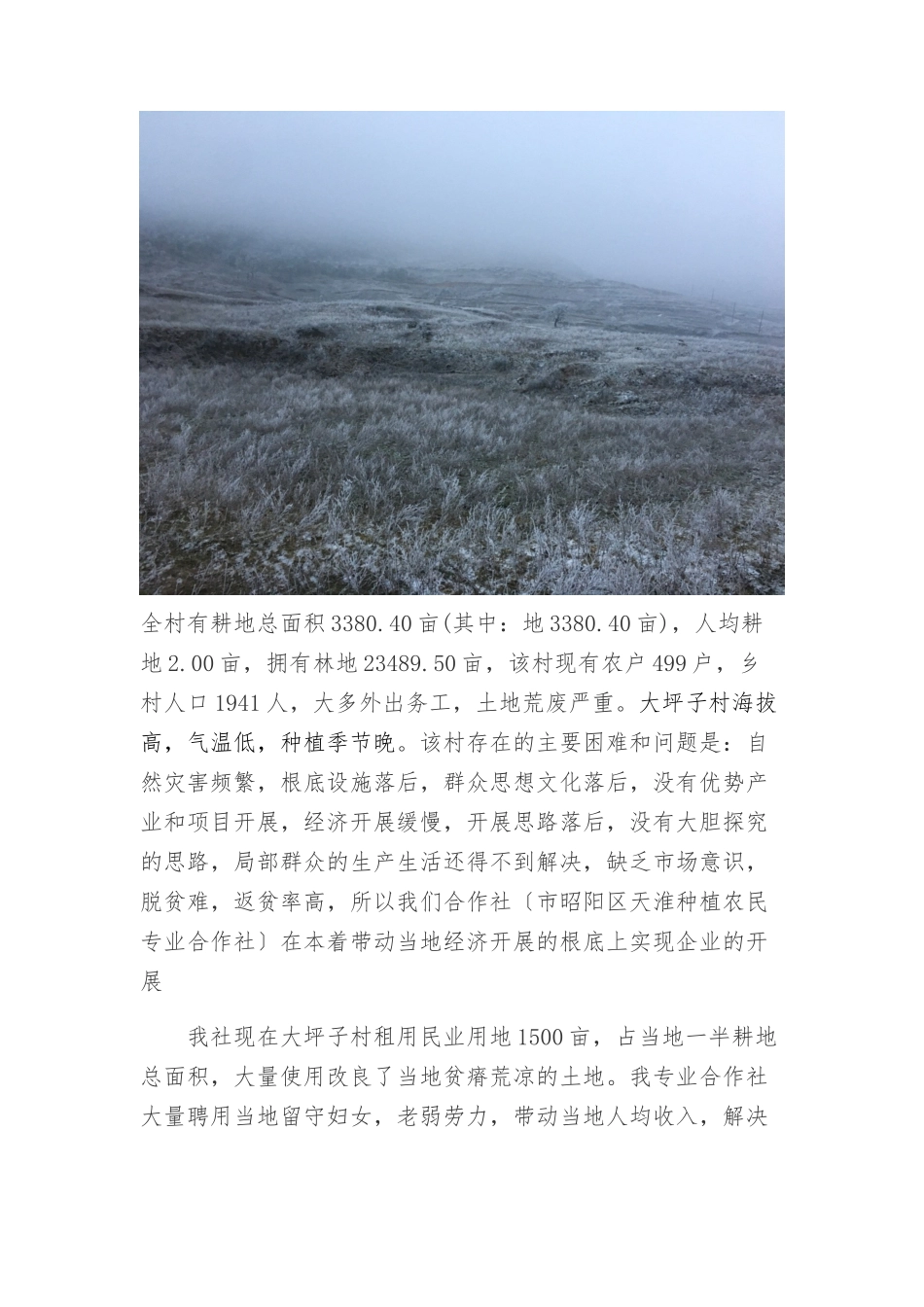 农业开发有限公司招商引资项目申请_第2页