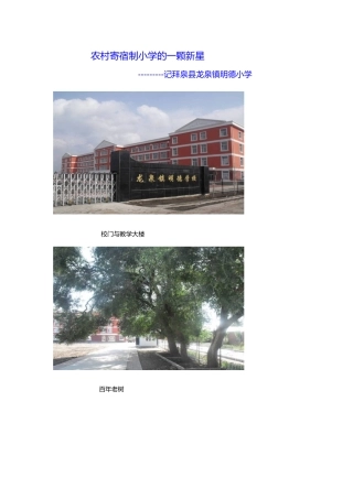 农村寄宿制小学的一颗新星