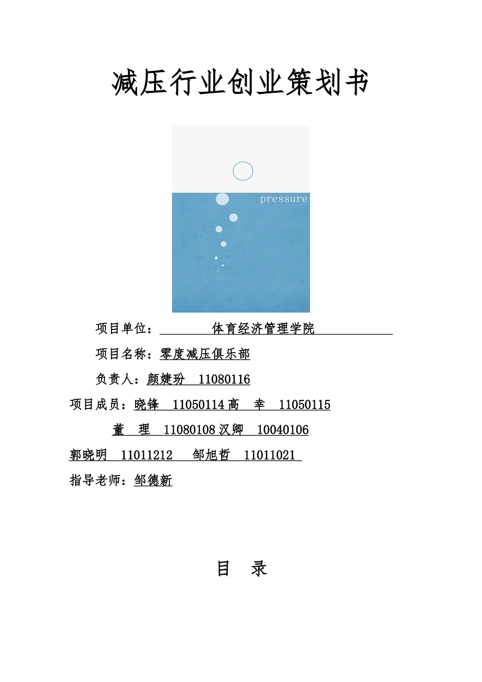 减压行业创业项目策划书_第1页