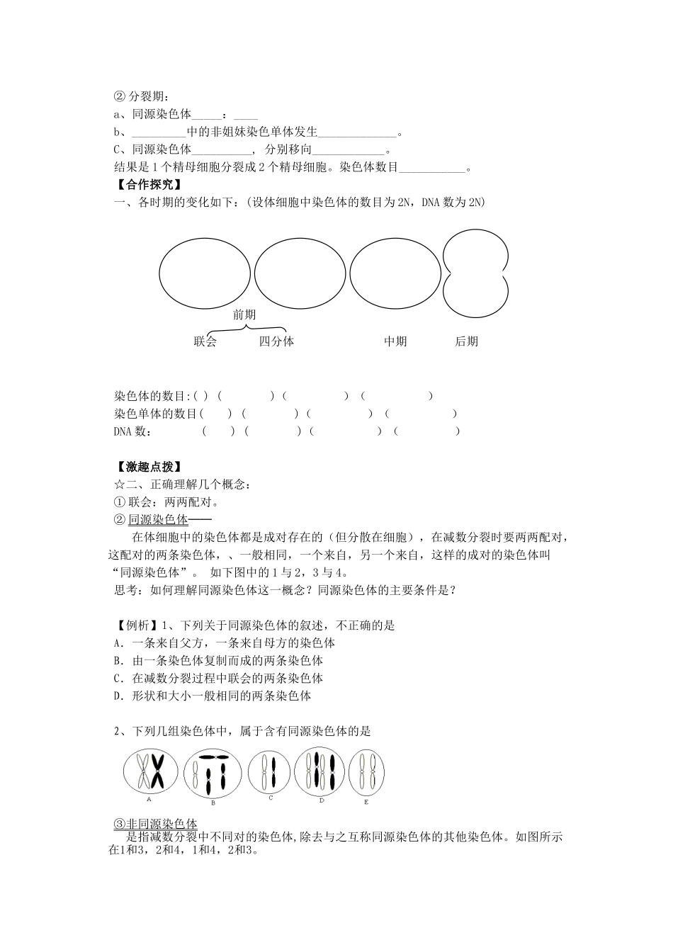 减数分裂导学案1_第2页