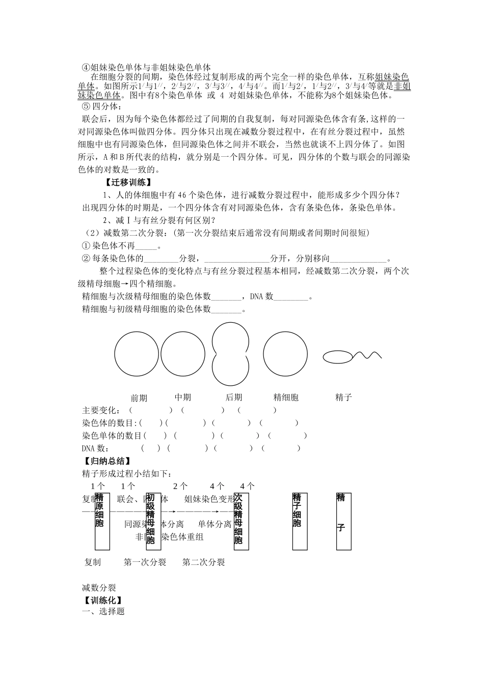减数分裂导学案1_第3页
