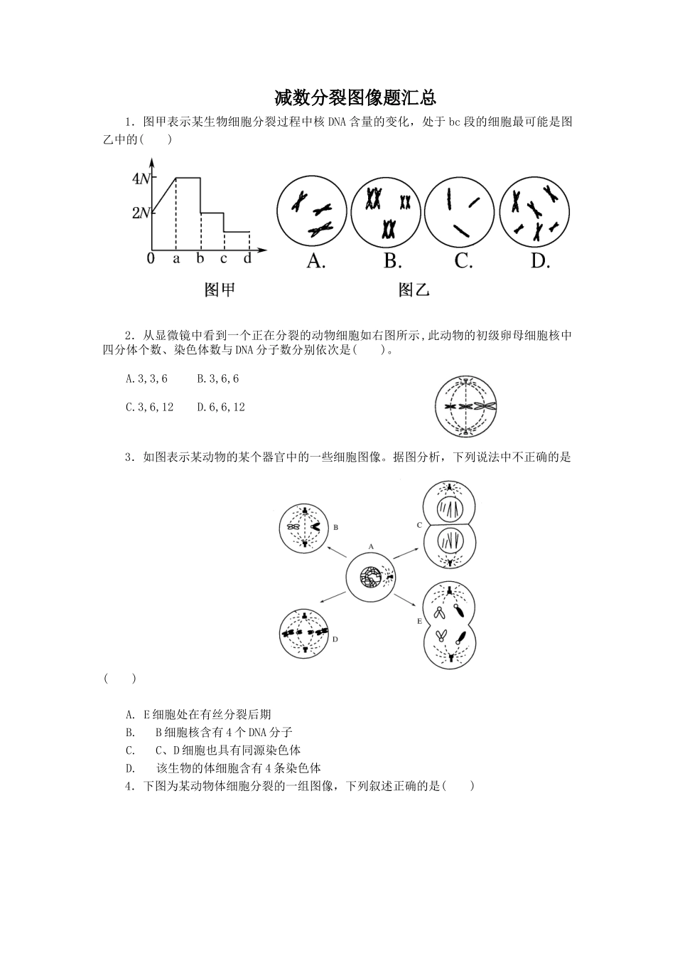 减数分裂识图辨析_第1页