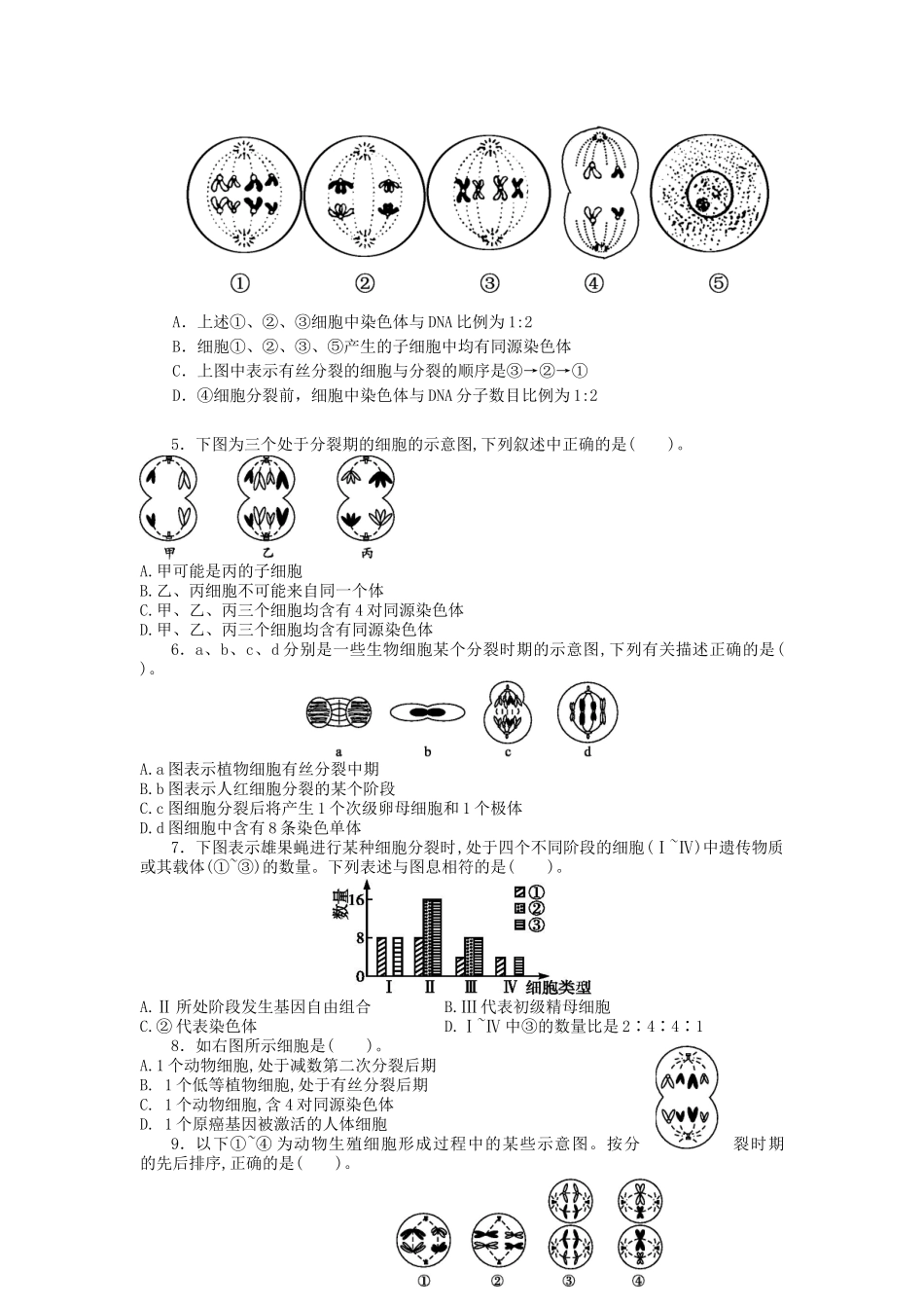 减数分裂识图辨析_第2页