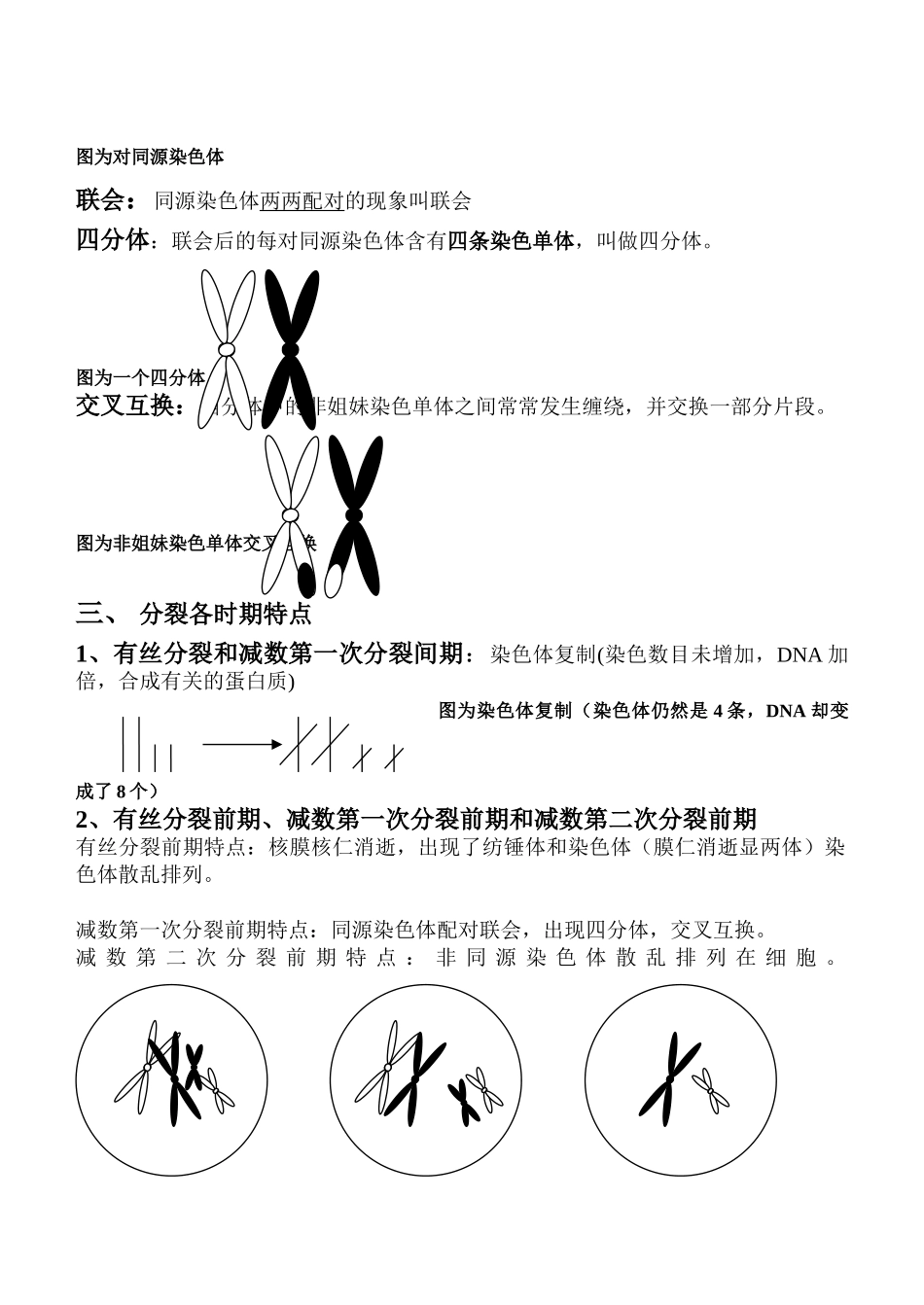 减数分裂和有丝分裂异同_第2页