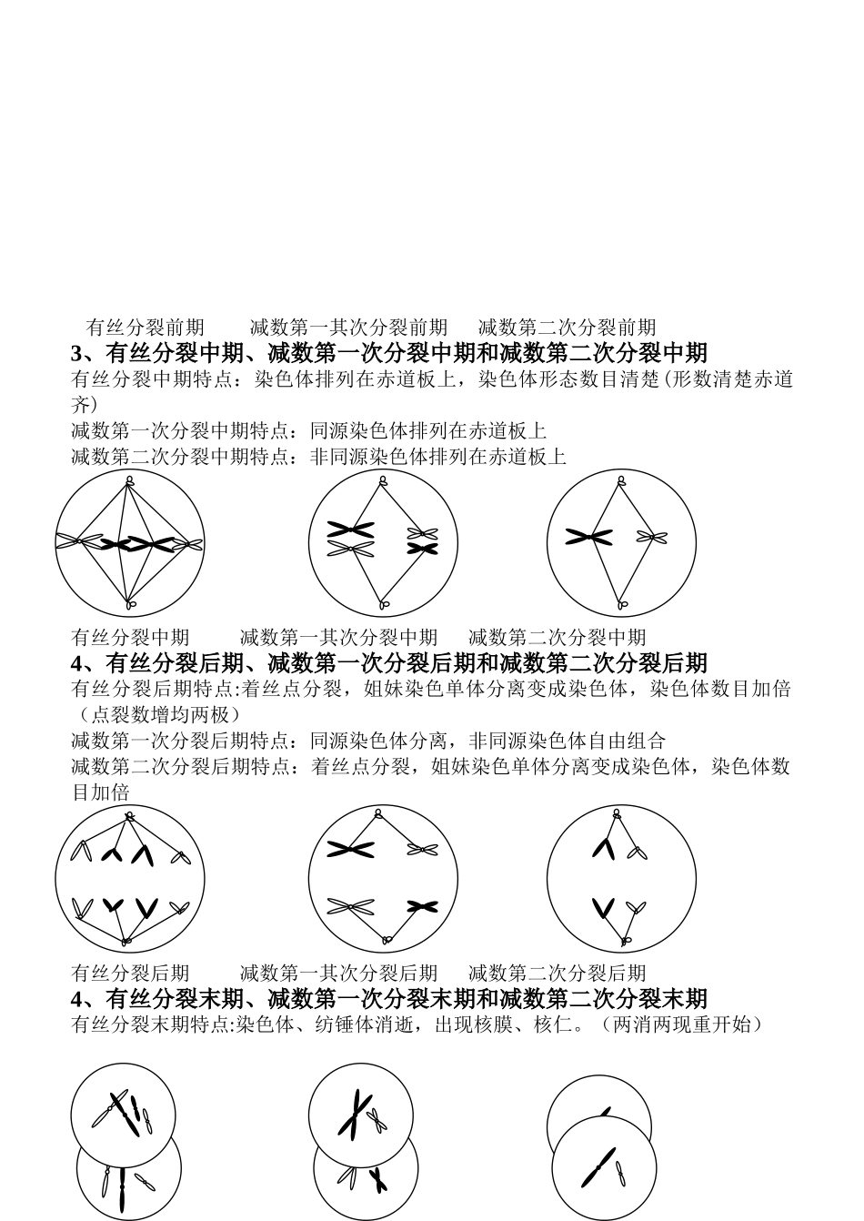 减数分裂和有丝分裂异同_第3页