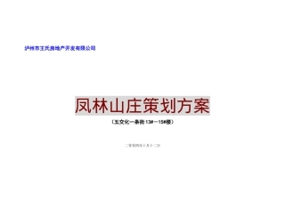 凤林山庄策划方案