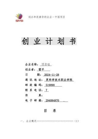 创业计划未完成版