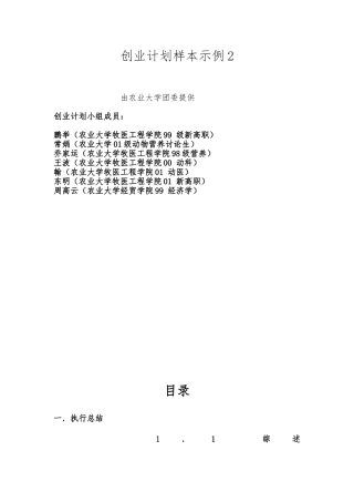 创业计划样本示例