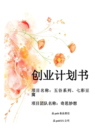 创业项目计划书广西大学行健文理学院