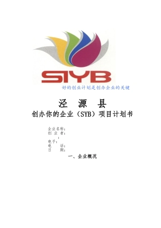 创办你的企业SYB项目计划书