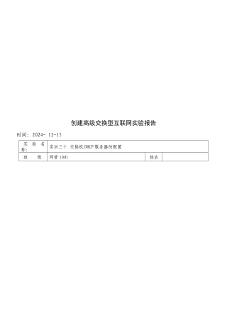 创建高级交换型互联网实验报告